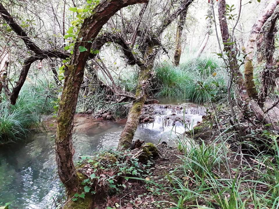 Οι Φευγάτοι - Εκτός Δρόμου εξόρμηση στο Πολυλίμνιο