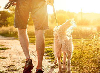 Οκτώ καλοί λόγοι να βγείτε για περπάτημα το πρωί